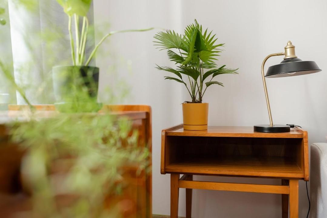 Vintage Apartment